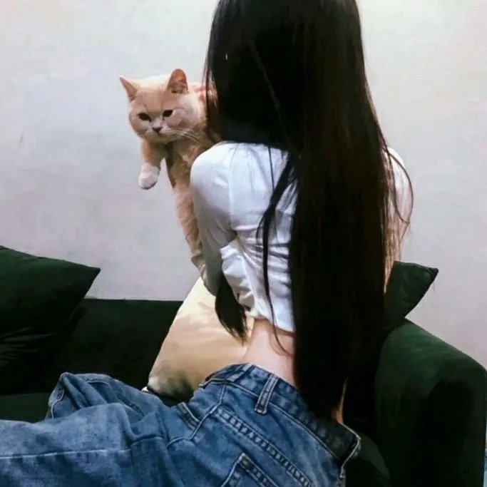 左轮百合