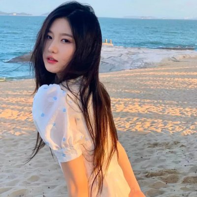 寻爱小说家:海史密斯